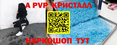 крисы Славгород