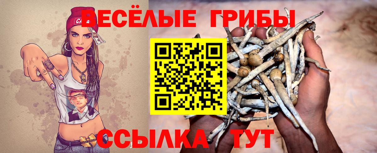 Галлюциногенные грибы ЛСД  Вход с VPN  Россошь 