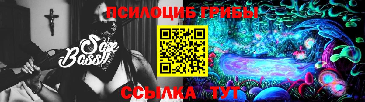 Псилоцибиновые грибы Psilocybine cubensis Россошь